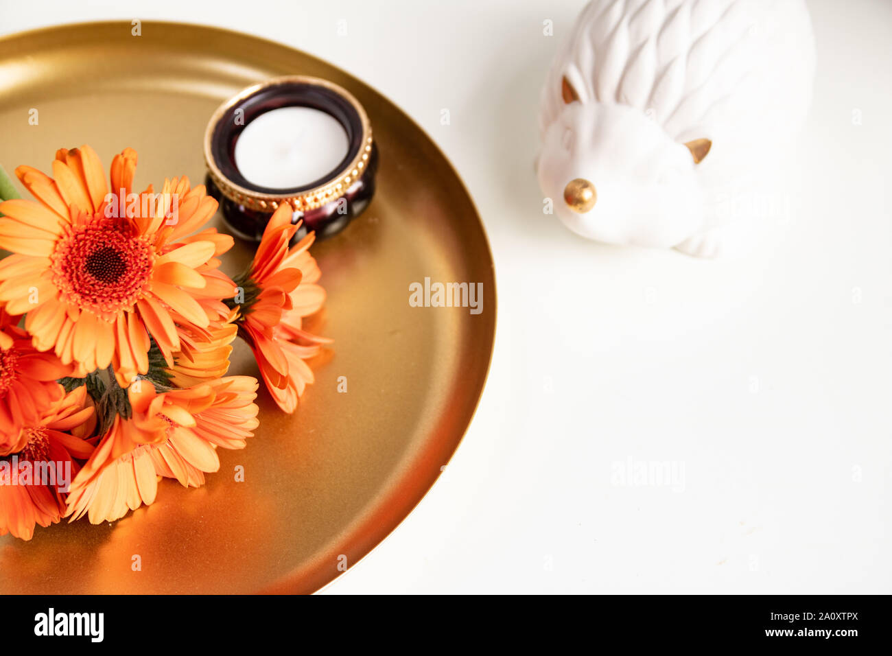 Autumn Flatlay, white background, minimal, hedgehog, orange gerberas, leaves, blogging photo, gold, minimalistic autumn photo, fall concept, bright Stock Photo