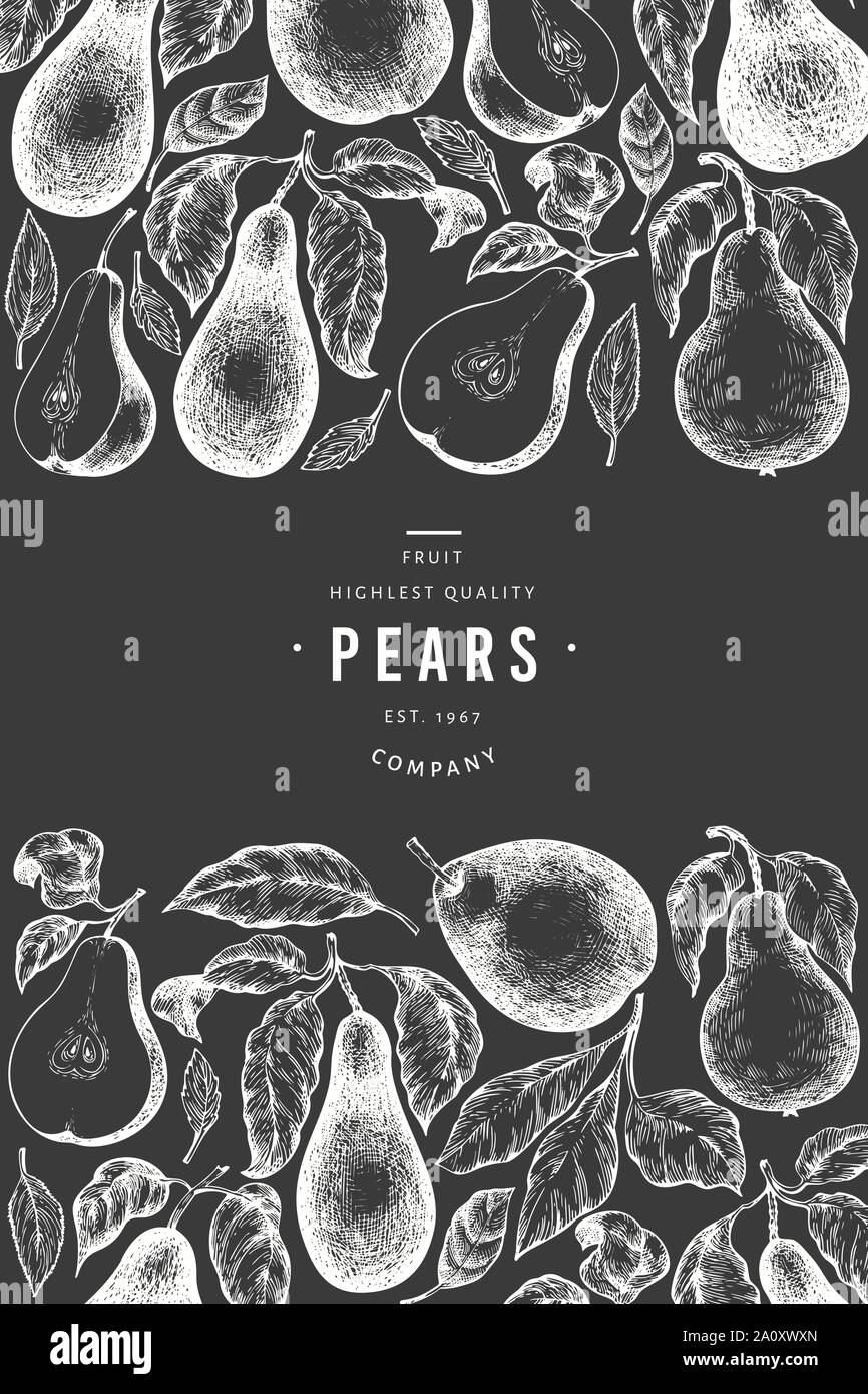 Pear Layout Pear design template. Hand drawn vector garden fruit illustration on ...