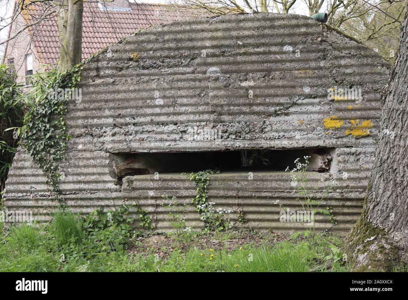 British bunker at St Eloi crater near Ypres / Ieper Flanders Stock Photo