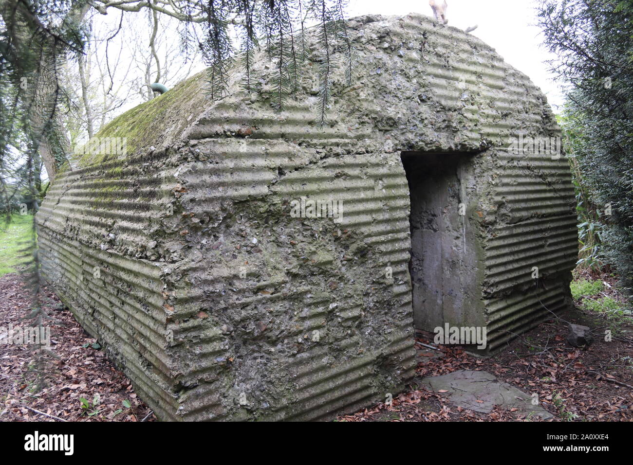 British bunker at St Eloi crater near Ypres / Ieper Flanders Stock Photo