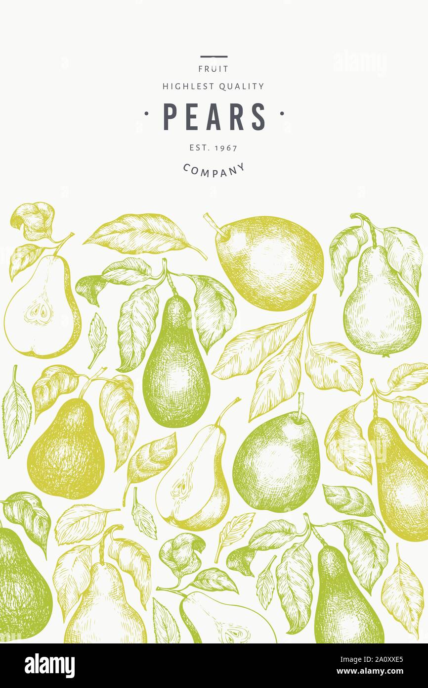 Pear Layout Pear design template. Hand drawn vector garden fruit illustration ...