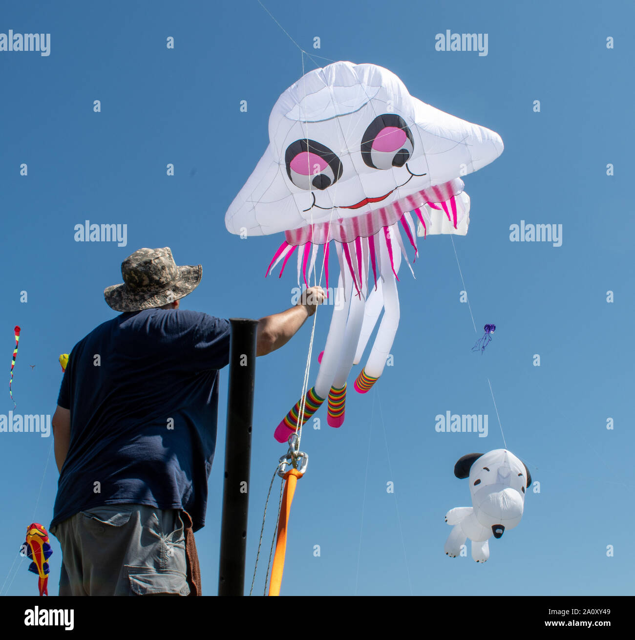 Kite master adjusts the anchor line to a large kite flown at the