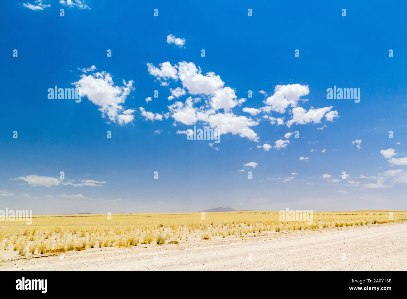 Endless vastness of a golden grass landscape under a blue sky, Namibia, Africa Stock Photo