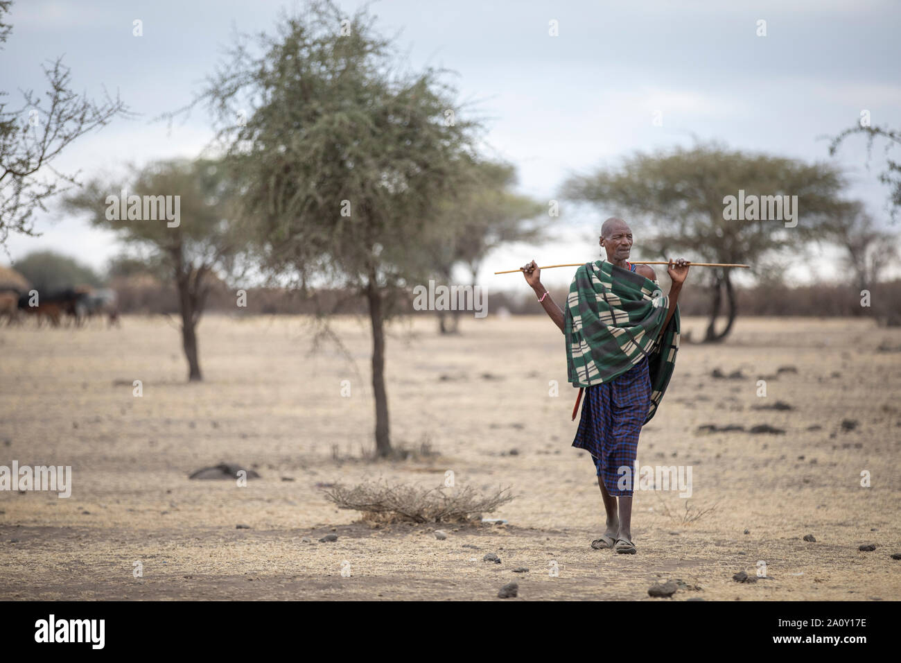 African man with walking stick hi-res stock photography and images - Alamy