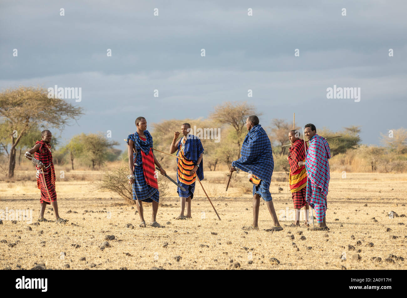 Arusha, Tanzania, 7th September 2019: maasai warriers walking in a savannah Stock Photo