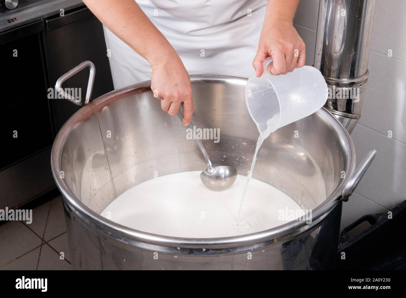 Rennet plant hi-res stock photography and images - Alamy