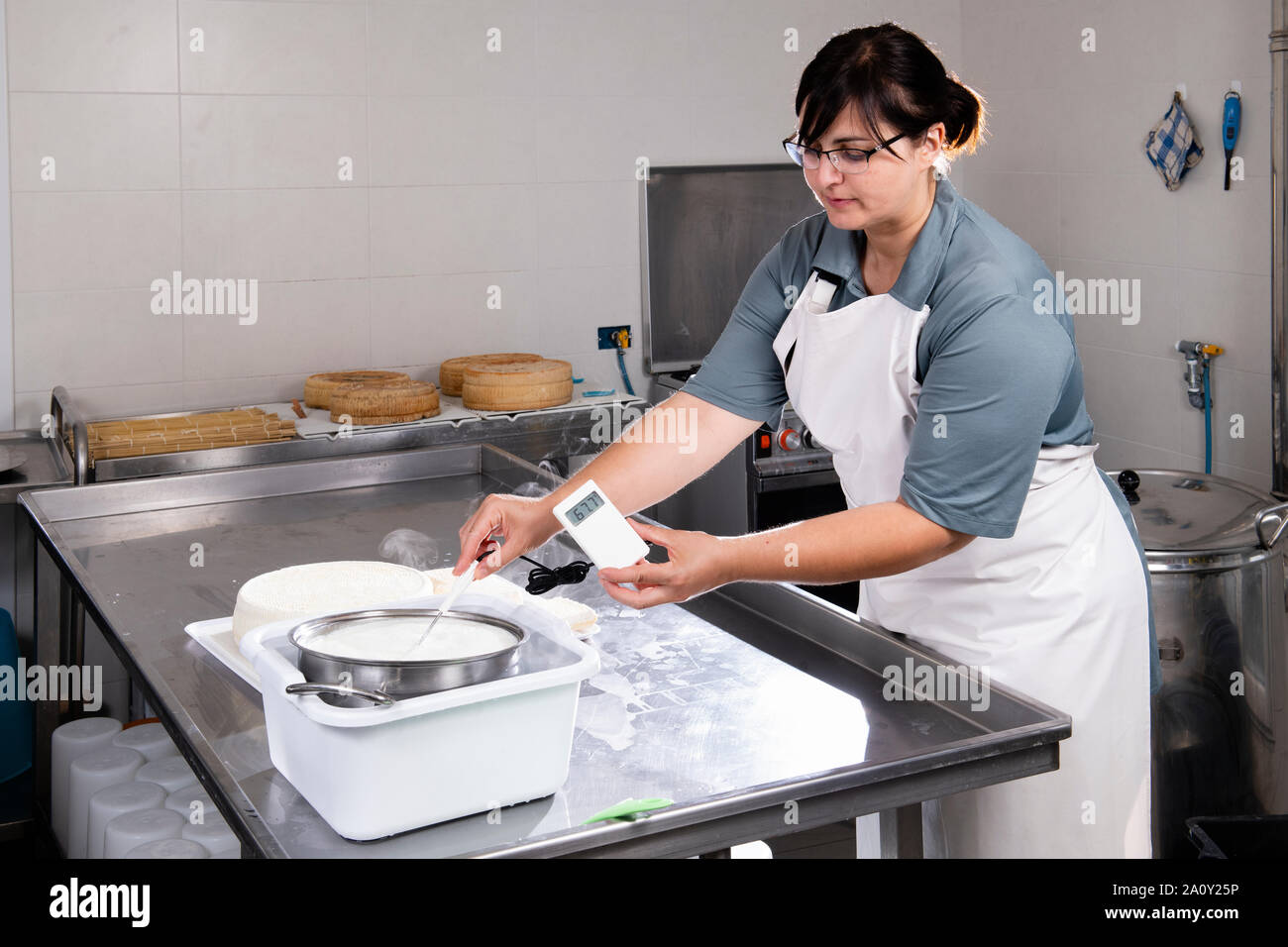 Cheesemaker measuring temperature with thermometer in a large steel tank  full of milk Stock Photo - Alamy