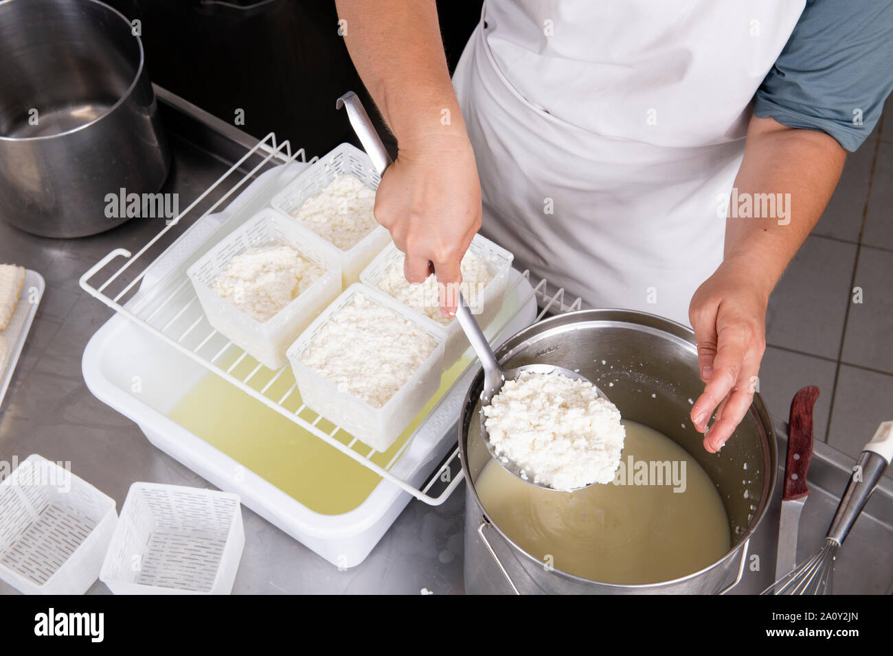 Cheesemaker pours the curdled milk into plastic forms to shape the ...