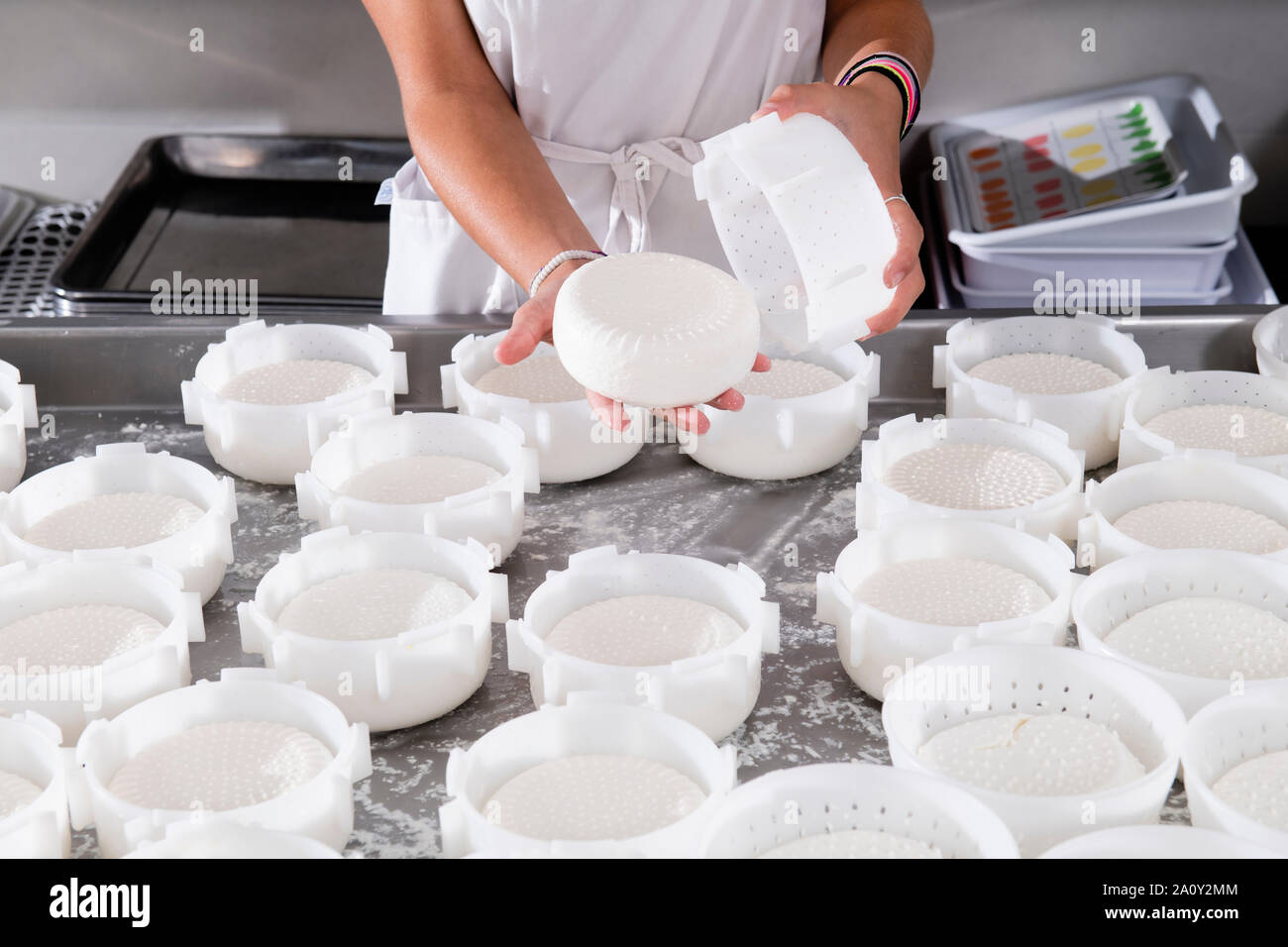 Cheesemaker turns fresh cheese into plastic containers Stock Photo - Alamy