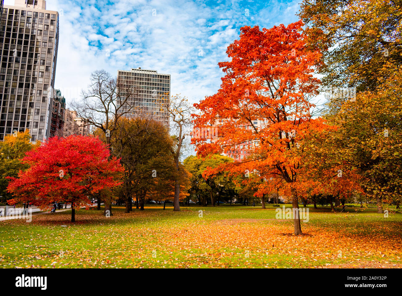Colorful Autumn Scene in Lincoln Park Chicago Stock Photo Alamy