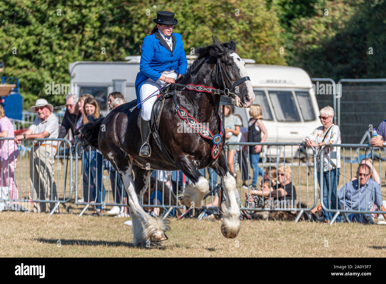 Shire horse display at the National Country Show Live at Hylands Park, Chelmsford, Essex, UK. Ridden shire horses being galloped. Running. N&J Stock Photo