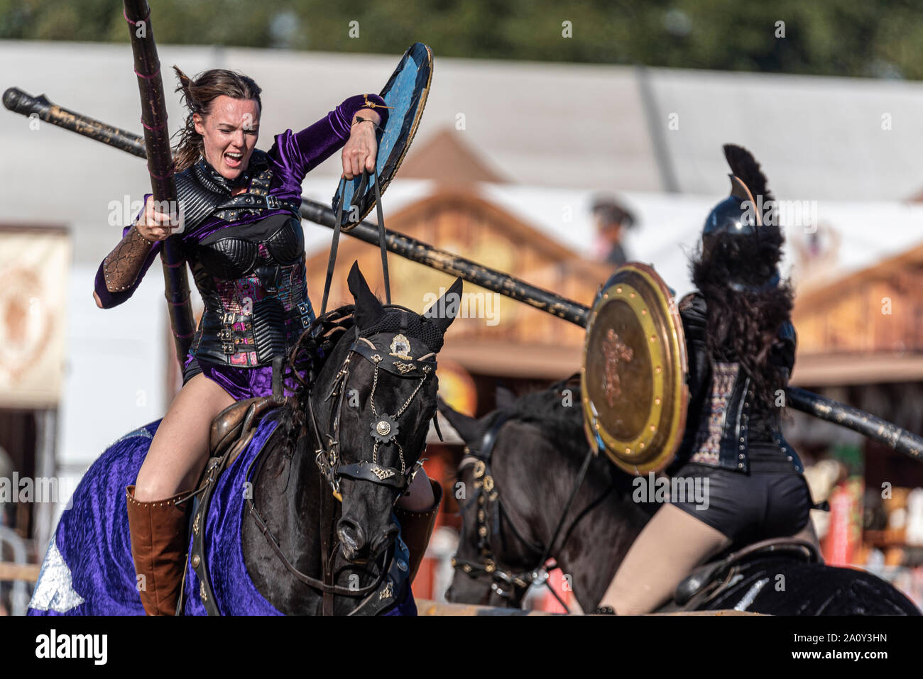 Equestrienne Stunt Shows horse display at the National Country Show