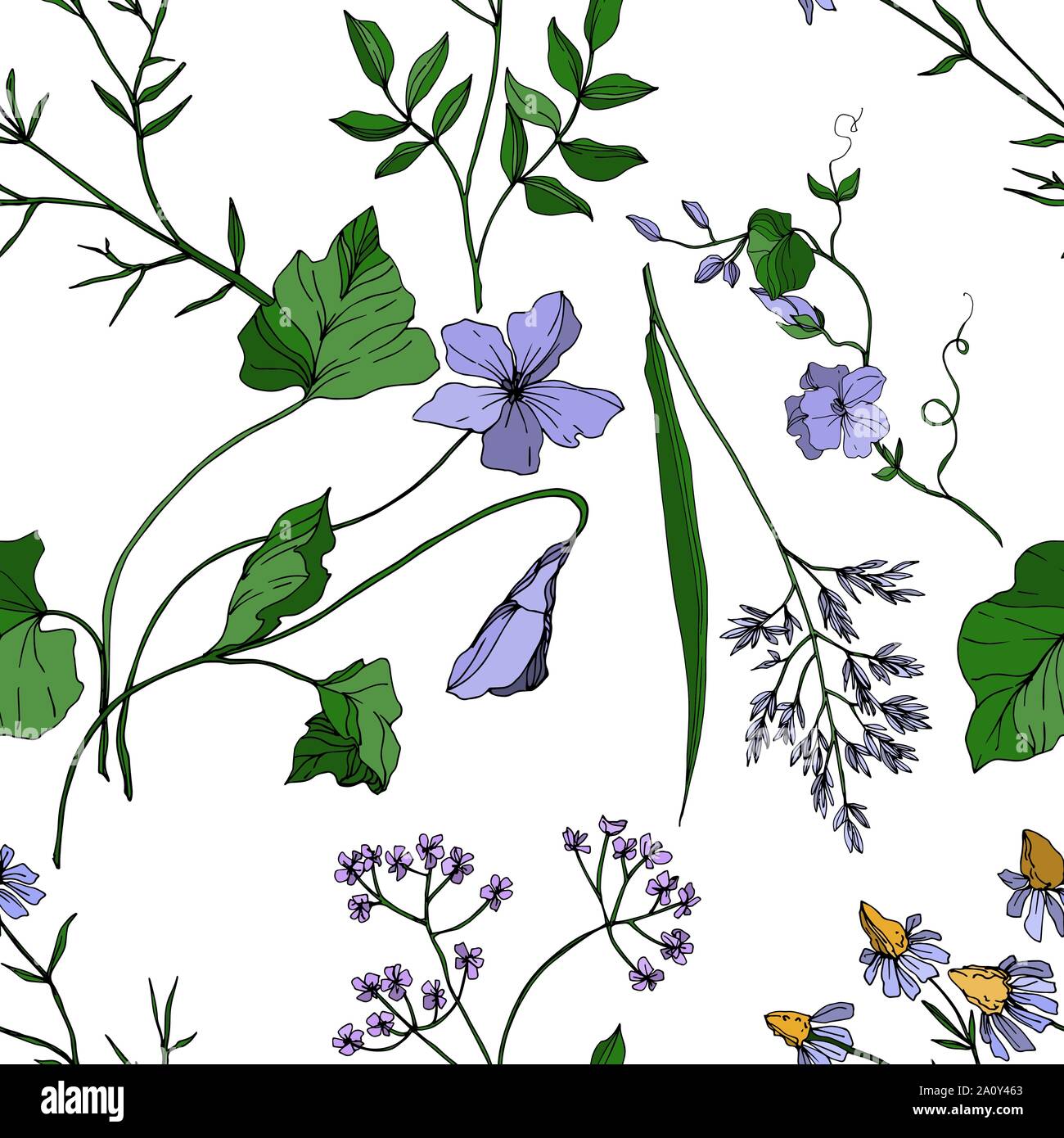 Vector Wildflowers floral botanical flowers. Wild spring leaf ...