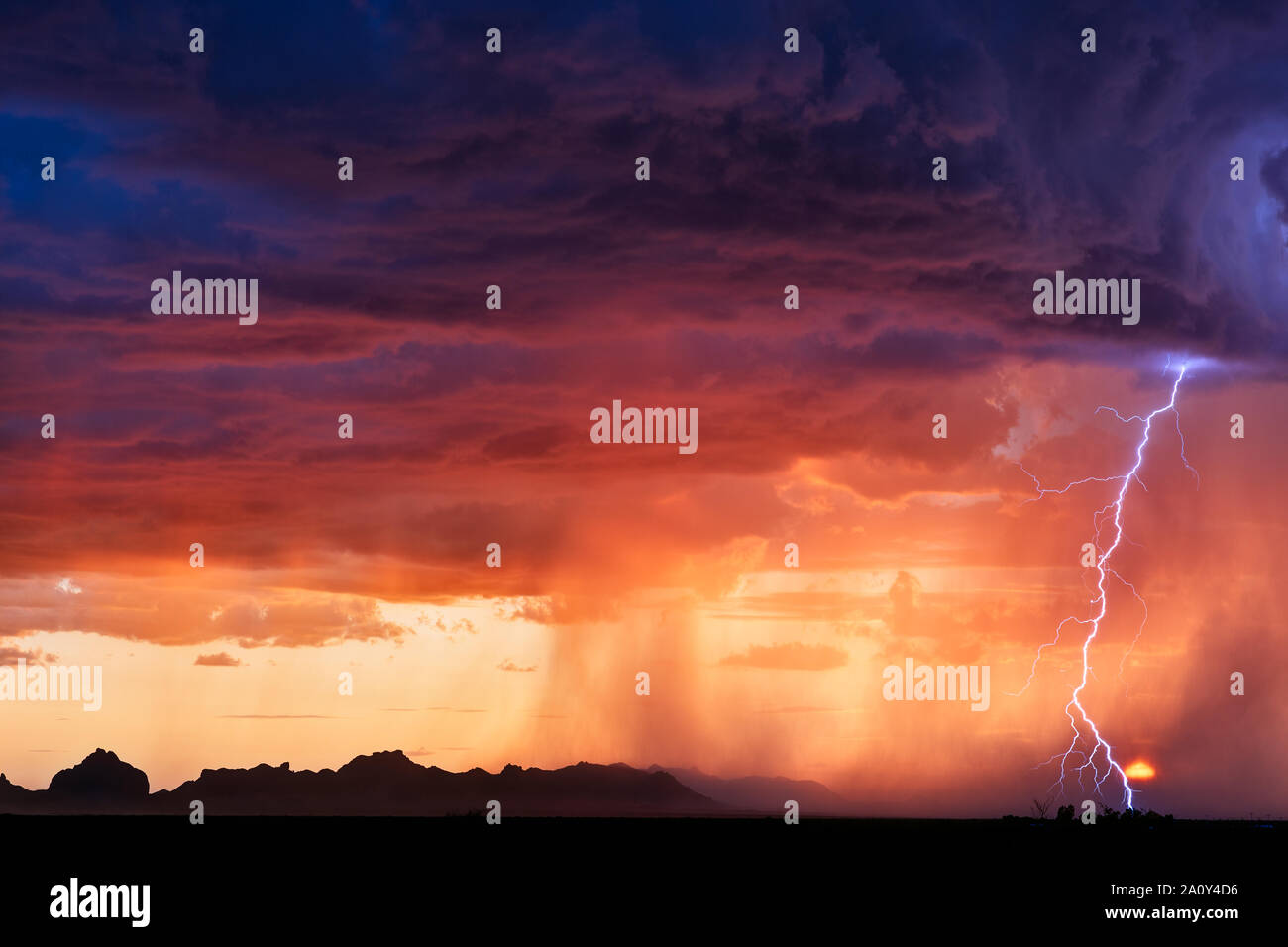 A dramatic lightning bolt strikes though sunset storm clouds as a ...