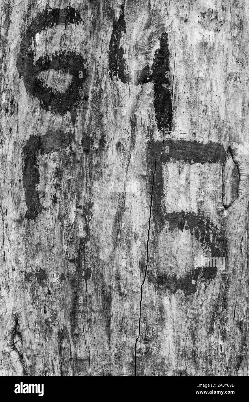 Black and white texture of wood with inscription Stock Photo - Alamy