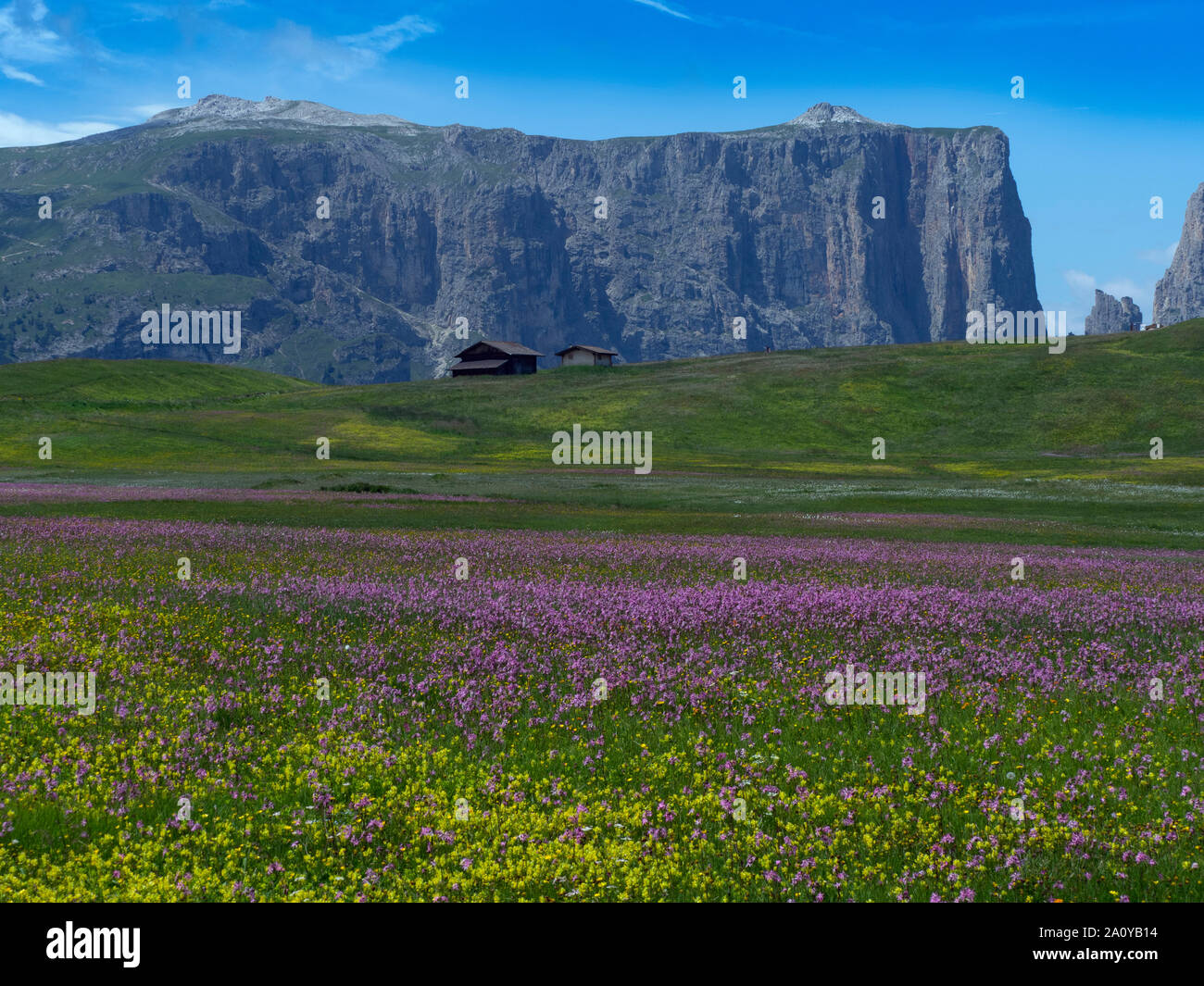 Compatsch Compatsch village Seiser Alm Dolomites plateau largest Alpine meadow in ...