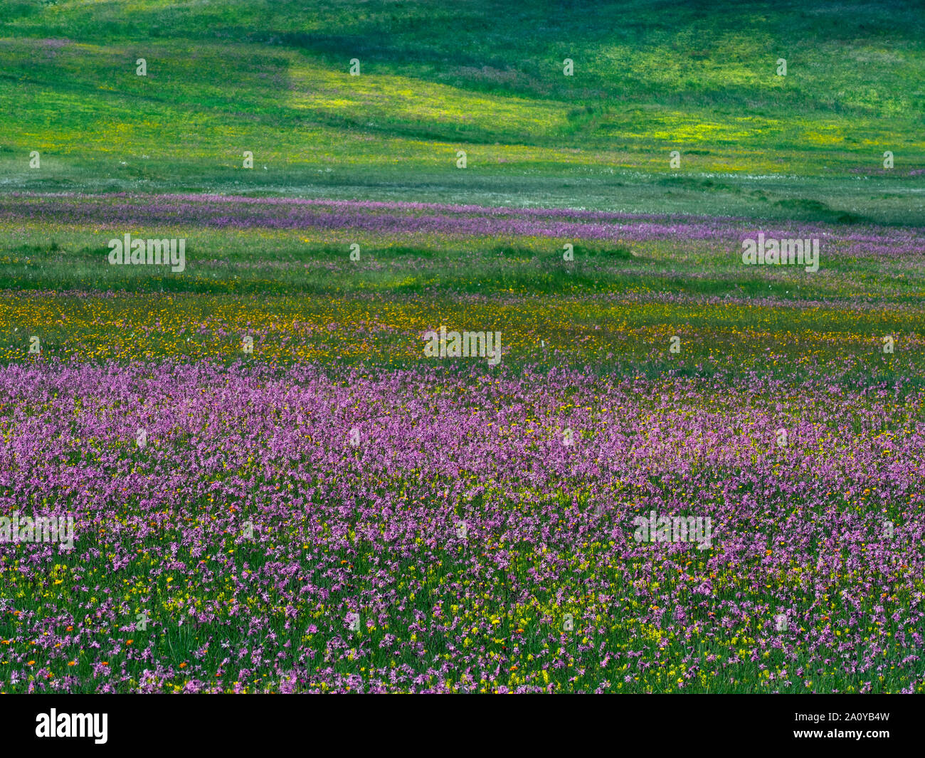 Compatsch Compatsch village Seiser Alm Dolomites plateau largest Alpine meadow in ...