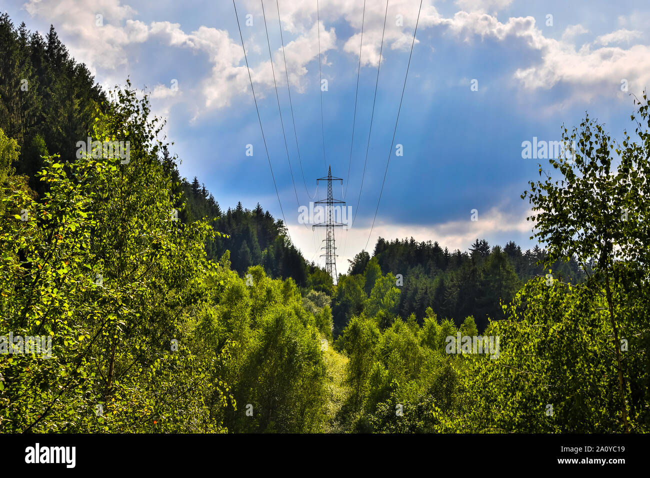 High voltage power lines in the forest Stock Photo - Alamy