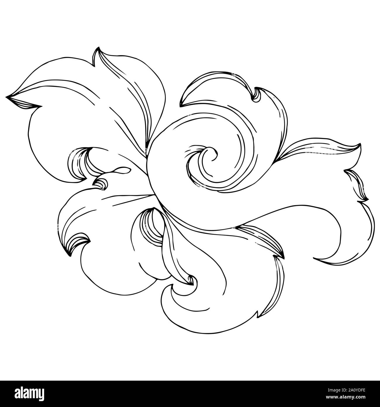 Vector Baroque monogram floral ornament. Baroque design isolated ...