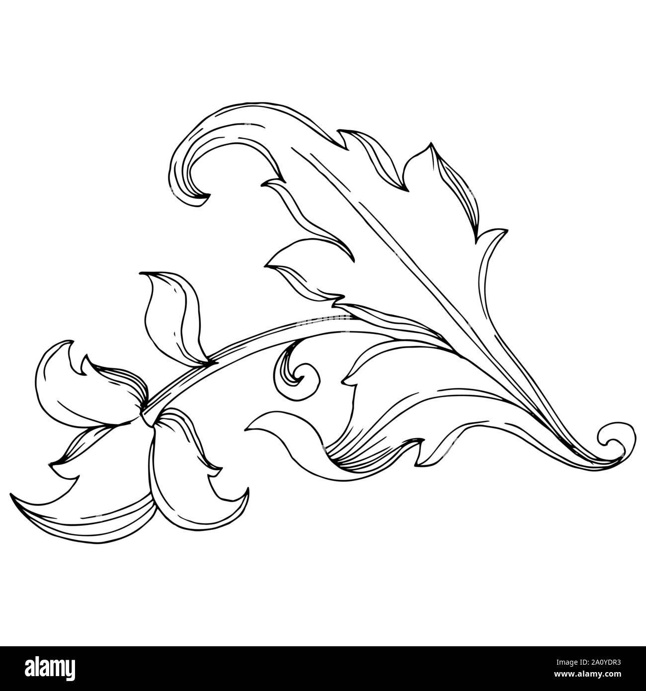 Vector Baroque monogram floral ornament. Baroque design isolated elements. Black and white engraved ink art. Isolated ornaments illustration element o Stock Vector