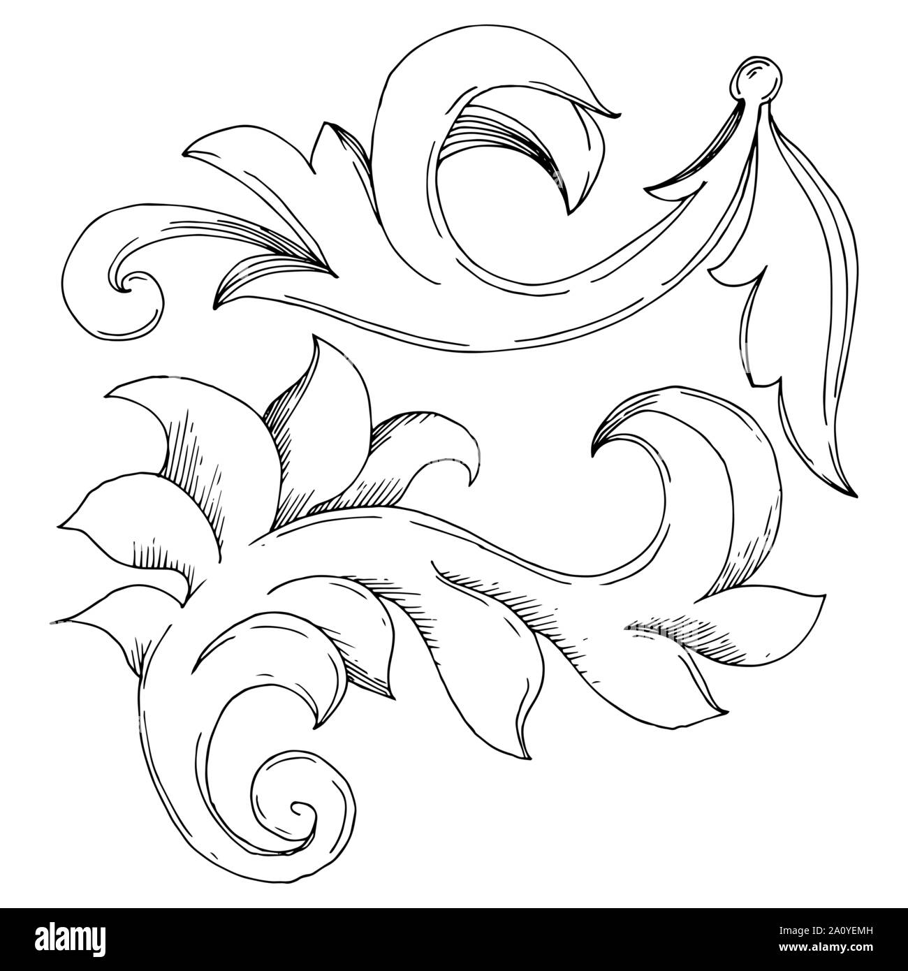 Vector Golden Monogram floral ornament. Baroque design elements. Black