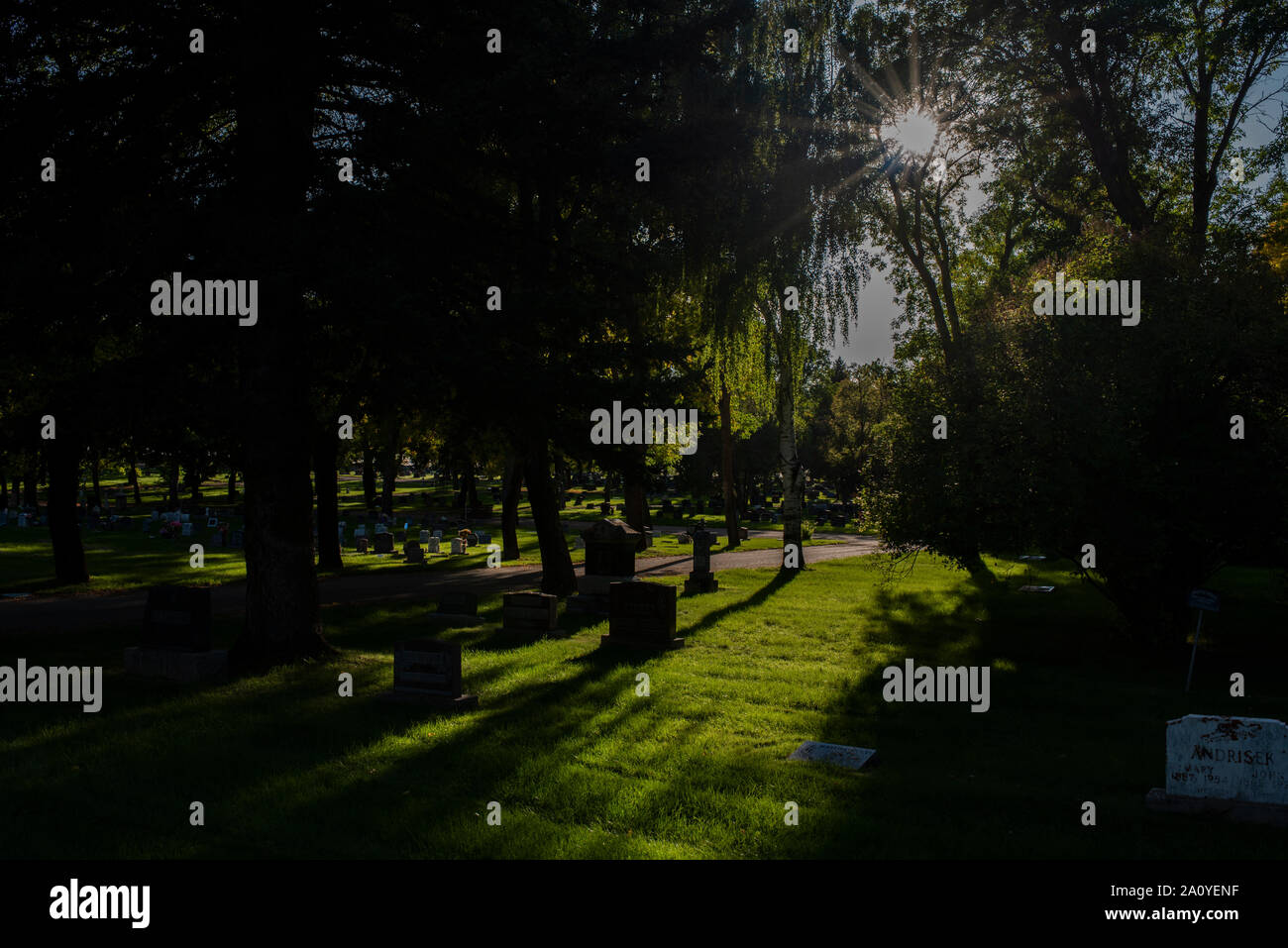shots of a graveyard in fall Stock Photo