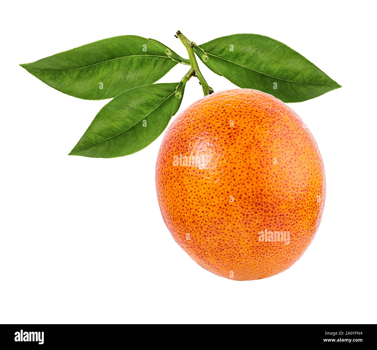 Orange With Ripe Ripe orange isolated on white background Stock Photo - Alamy