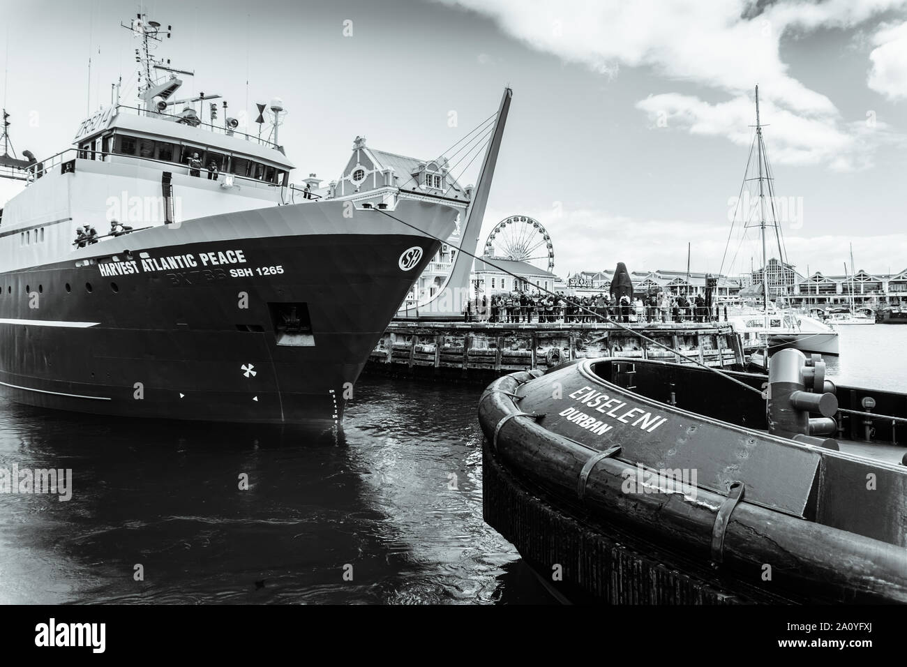 The fishing trawler Harvest Atlantic Peace navigates South Africa's