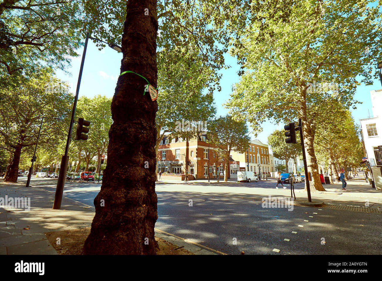 London, U.K. - September 12, 2019: Campaigners have placed heart-shaped signs on tress in Notting Hill in protest at a threat by TFL to destroy them to make way for a cycle lane. Stock Photo
