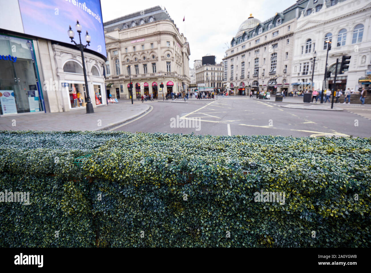London, U.K. - Sept 22, 2019: An artifical hedge placed along Regent Street as part of activties across the capital to mark London car-free day. Stock Photo