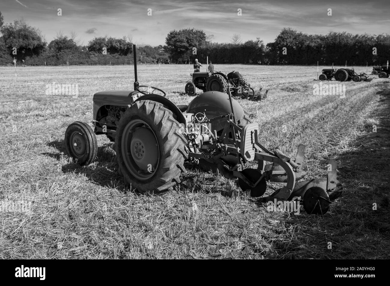 Vintage Tractors at the Vintage Tractor and Ploughing Display at Chew Stoke 2019 Stock Photo