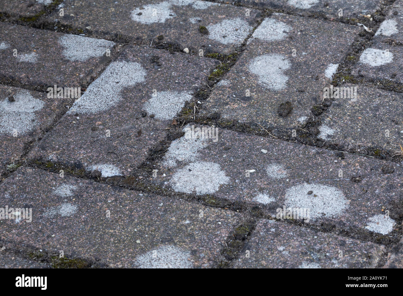 Lichen paving hires stock photography and images Alamy