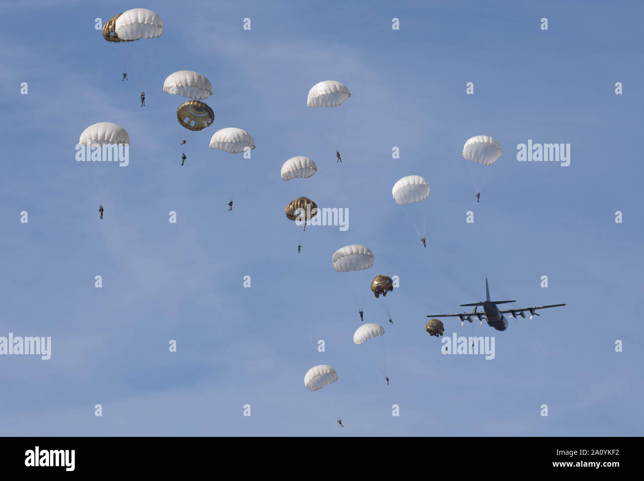 A group of U.S. Army and International Paratroopers parachute out of C-130 Aircraft onto Ginkelse Heide Drop Zone (Y) during the 75th Anniversary of Market Garden at Arnhem, Netherlands., September 20, 2019. These current Paratroopers are honoring the memories of the Paratroopers from all Allied Nations that participated in the jump in September 1944, as part of Operation Market Garden, the largest Airborne operation in the history of Warfare. (U.S. Army Reserve Photo by Staff Sgt. Austin Berner) Stock Photo