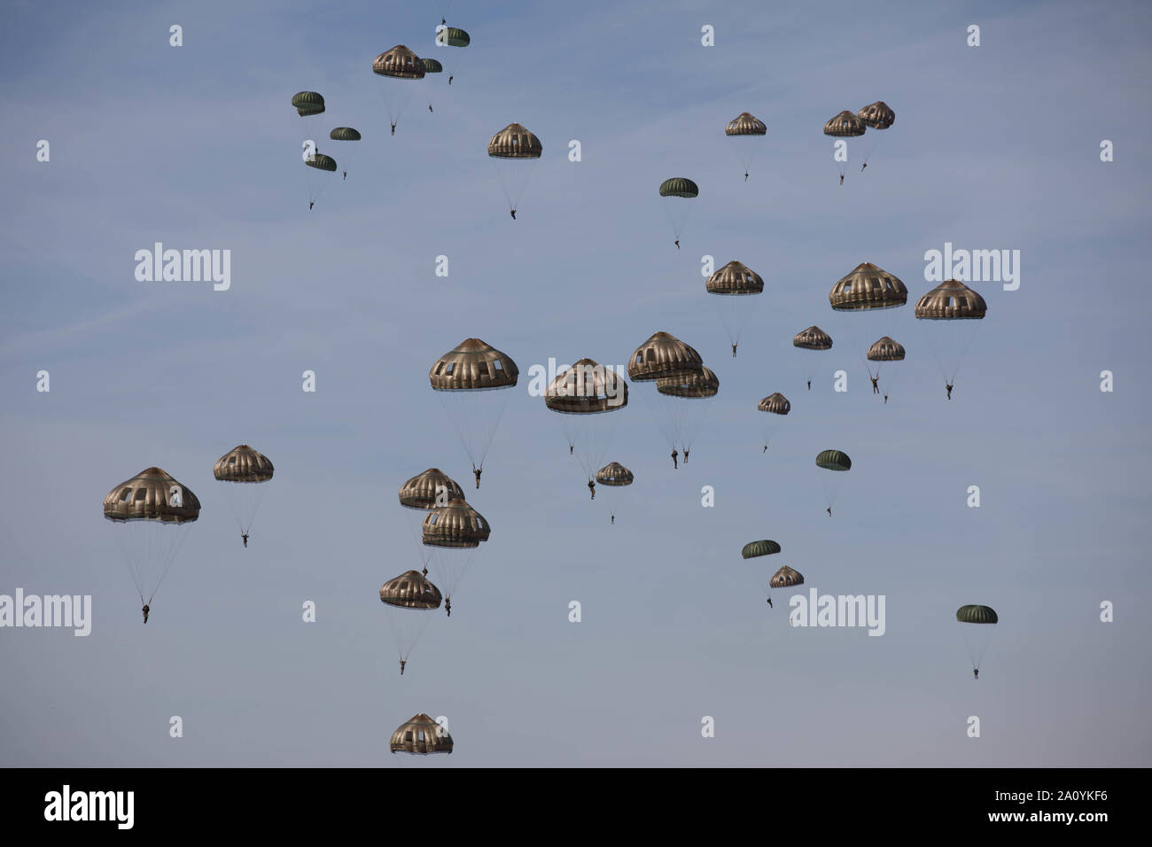 A group of U.S. Army and International Paratroopers parachute out of C-130 Aircraft onto Ginkelse Heide Drop Zone (Y) during the 75th Anniversary of Market Garden at Arnhem, Netherlands., September 20, 2019. These current Paratroopers are honoring the memories of the Paratroopers from all Allied Nations that participated in the jump in September 1944, as part of Operation Market Garden, the largest Airborne operation in the history of Warfare. (U.S. Army Reserve Photo by Staff Sgt. Austin Berner) Stock Photo