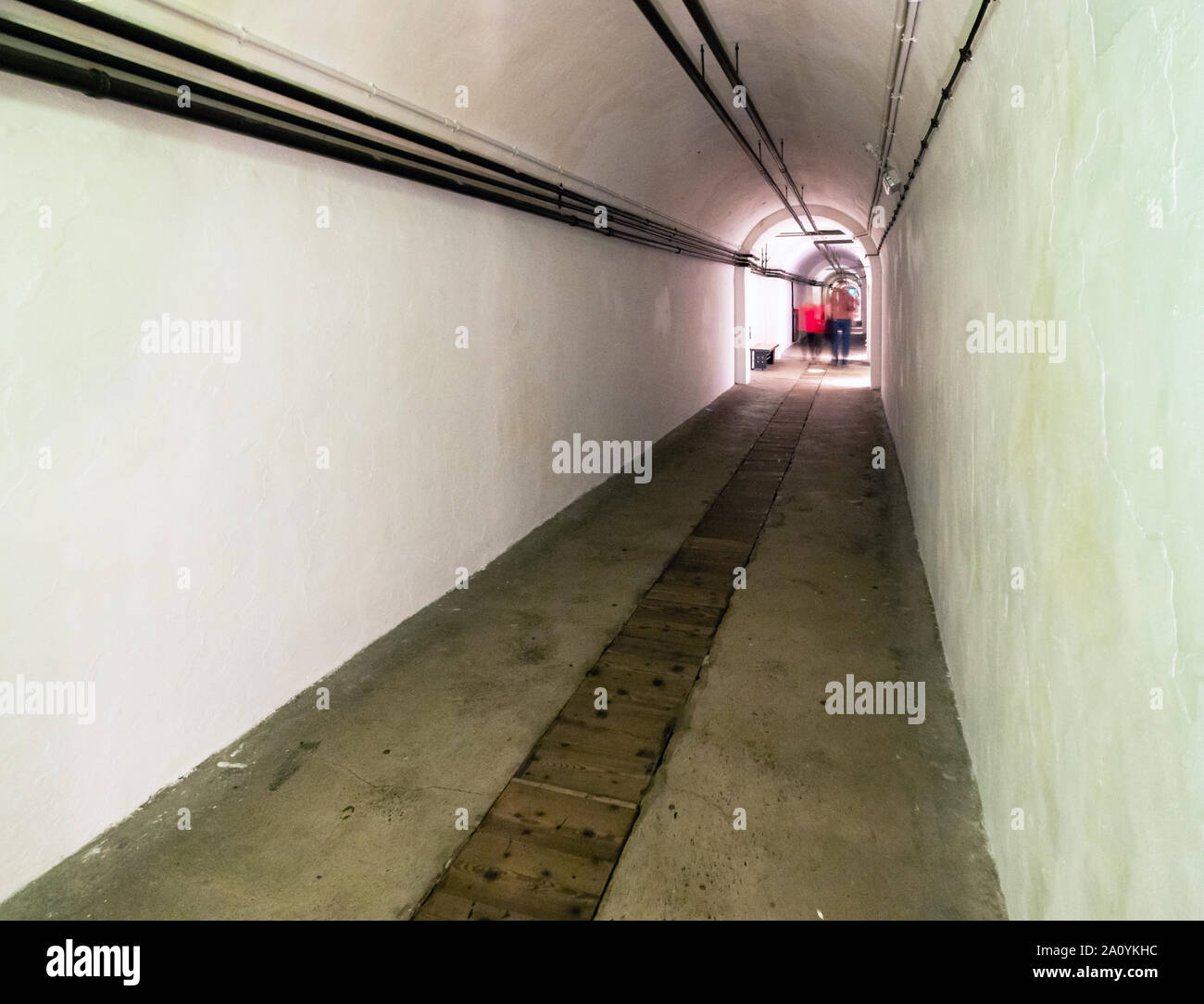 World war ii nazi regime hi-res stock photography and images - Alamy