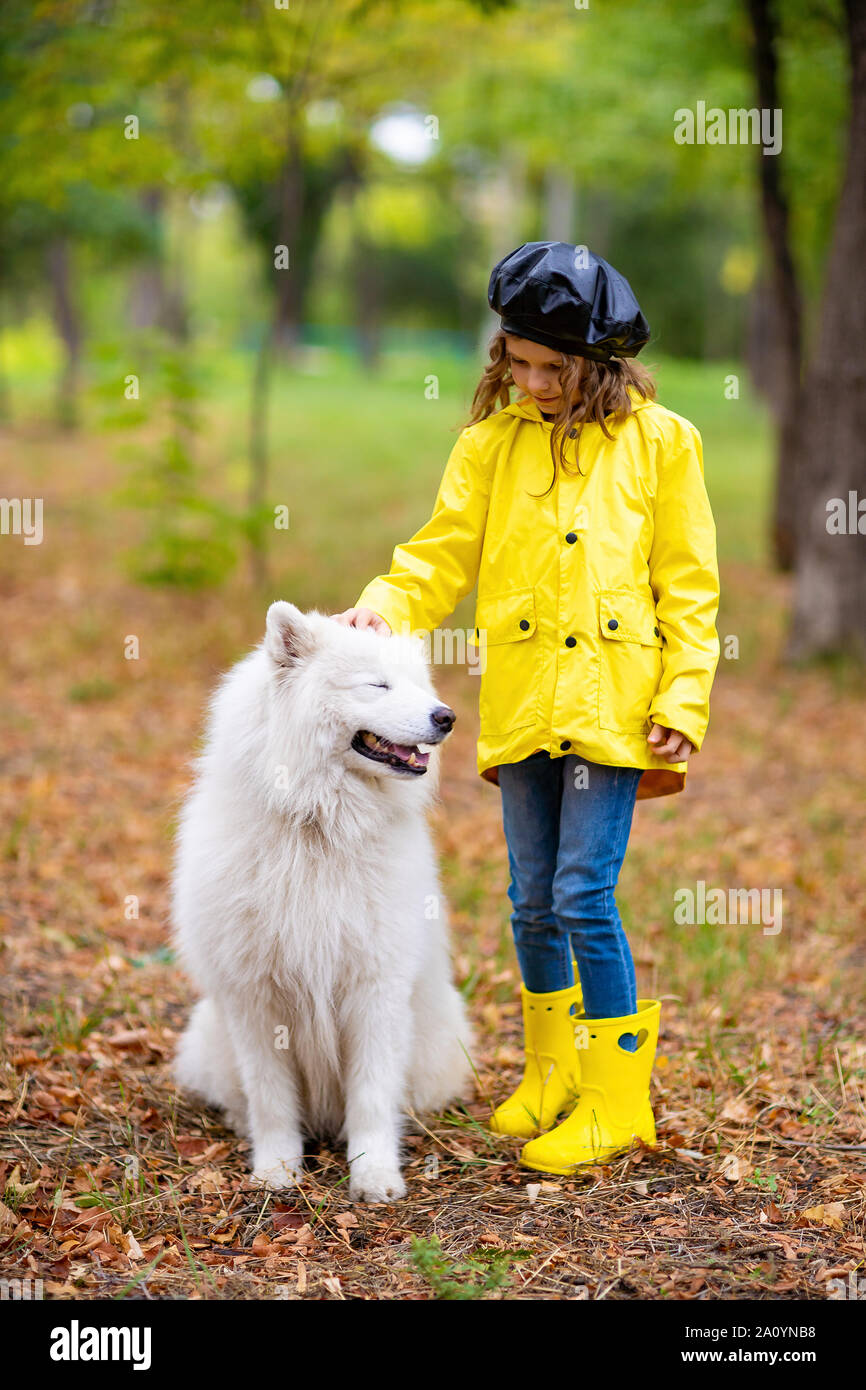 samoyed raincoat