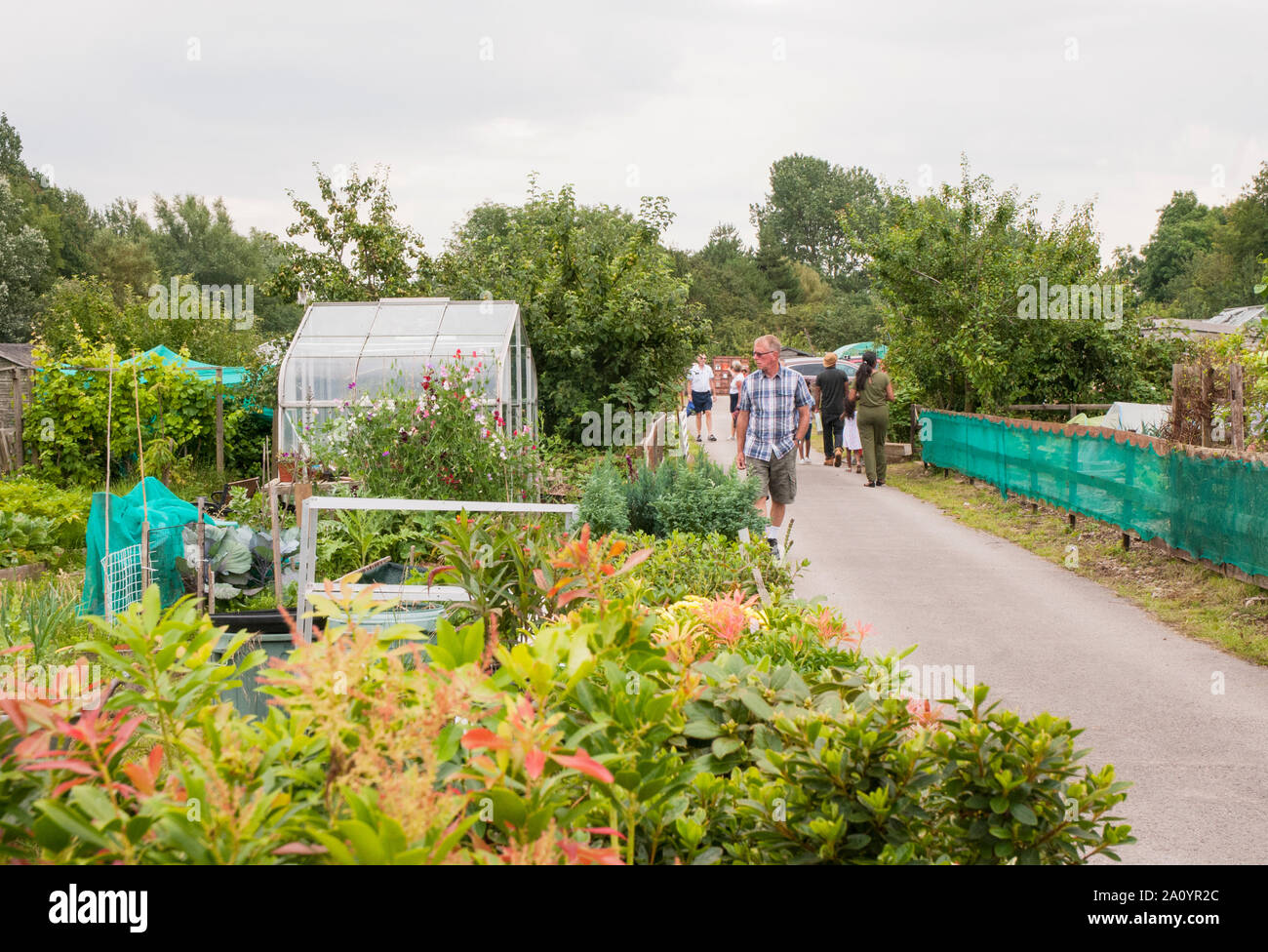 Members of the general puplic attending an open day on an allotment site.  People walking along road looking at various sites and plots Stock Photo