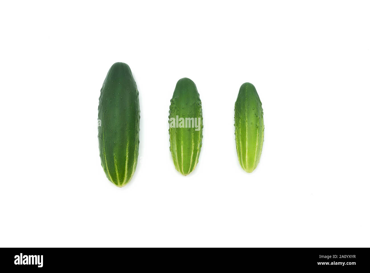 Fresh cucumbers for cooking.Flat lay composition on white background. Healthy  food.Vertical cucumbers. Isolated. Stock Photo