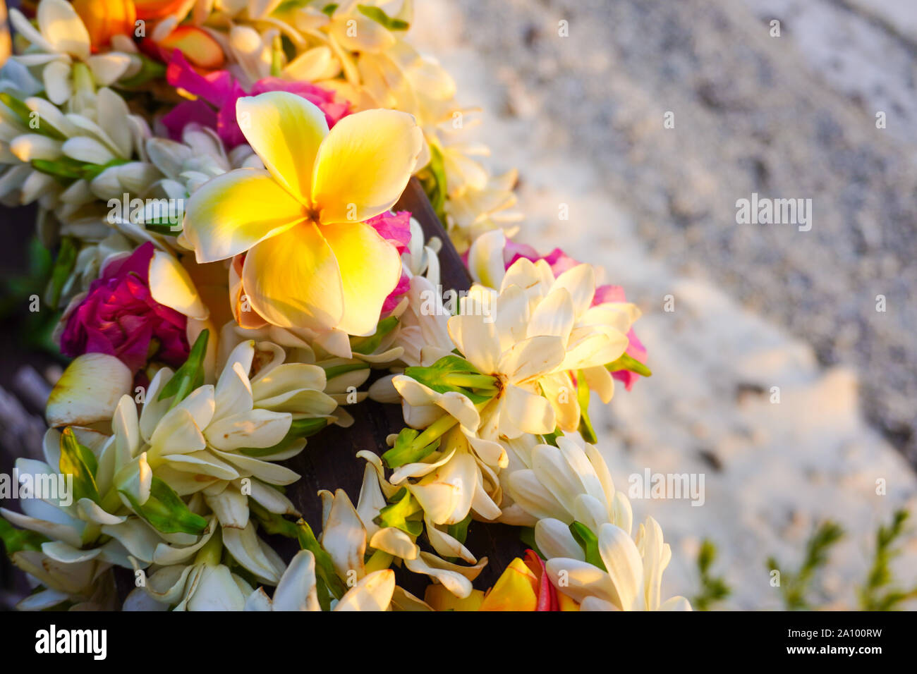 A lei of colorful tropical flowers with a white sandy beach for copy space Stock Photo
