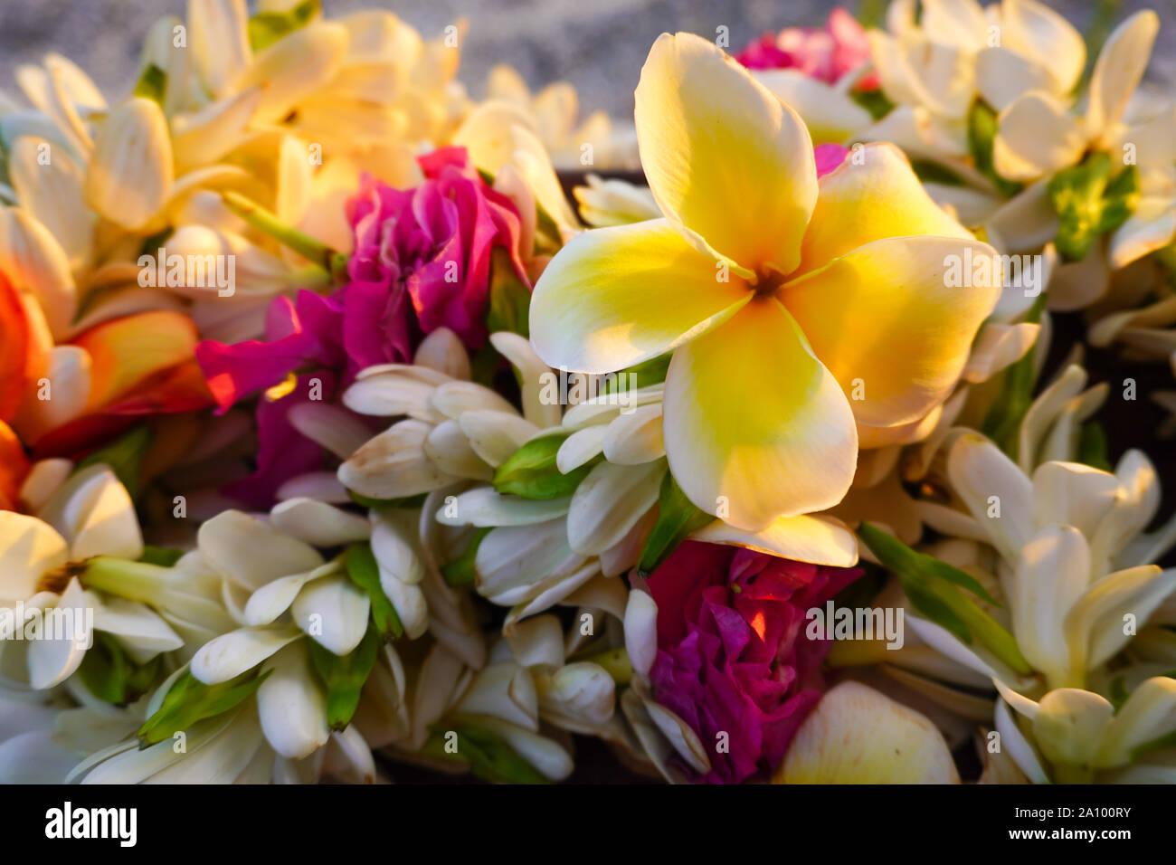 Close-up of a bouquet of tropical flowers used for a destination wedding with a sandy beach in the background Stock Photo