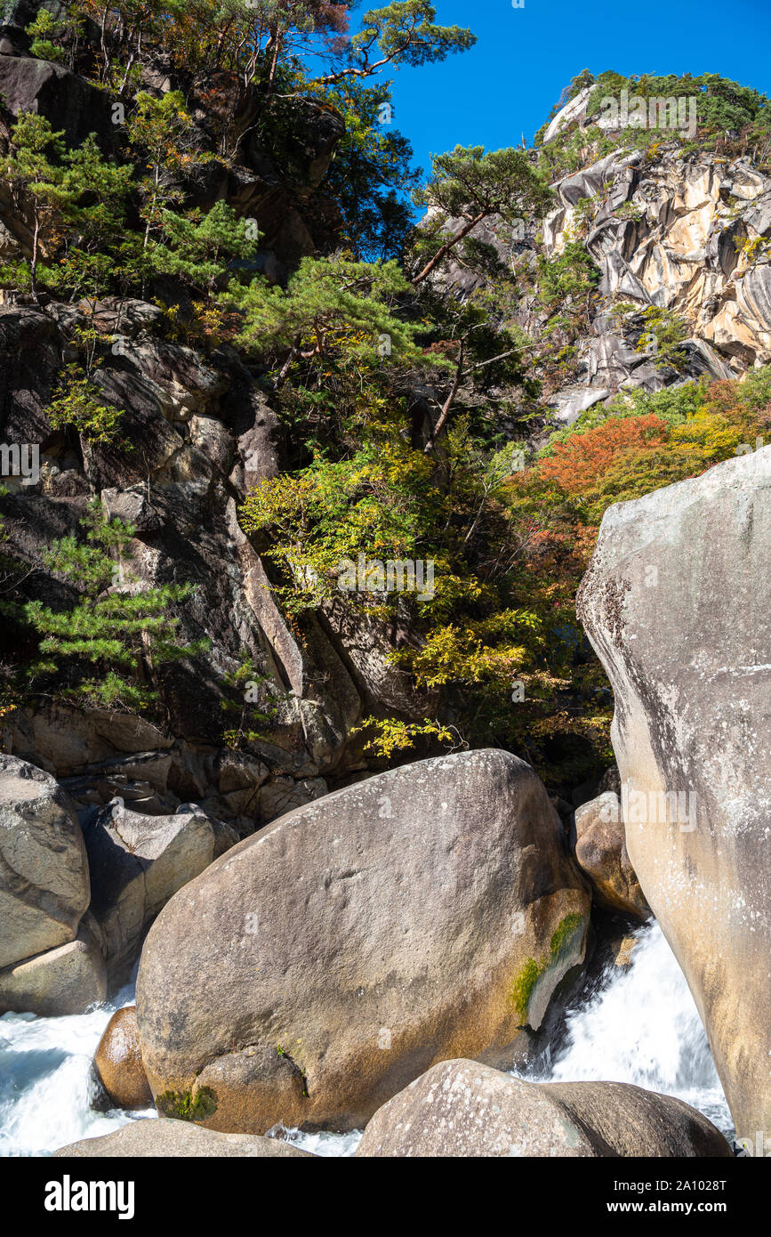 Mitake Shosenkyo Gorge Autumn foliage scenery view in sunny day. Beauty landscapes of magnificent fall colours. A popular tourist attractions in Kofu Stock Photo