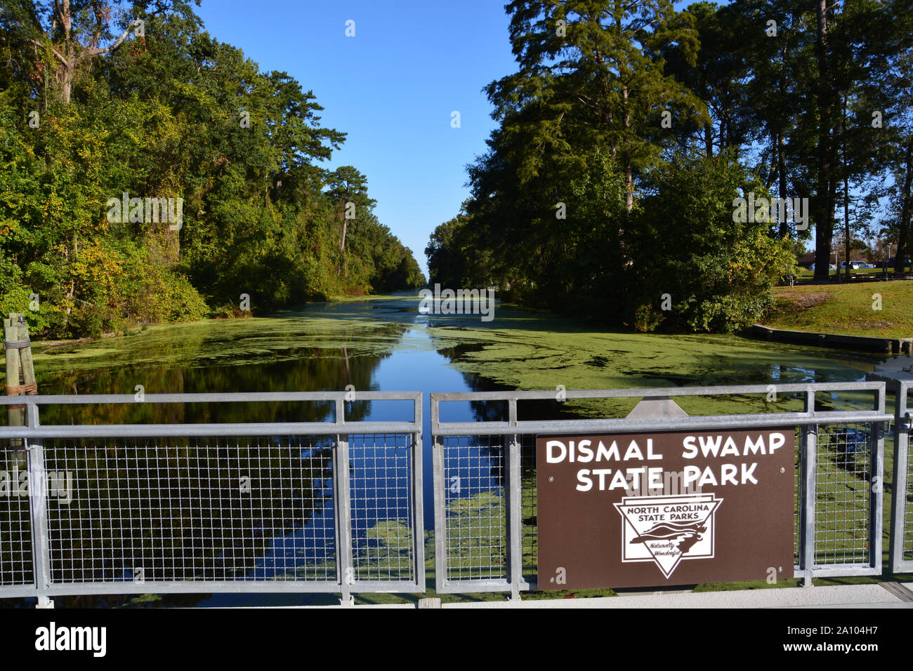 Looking down the Intracoastal Waterway at the Great Dismal Swamp State Park outside of Camden North Carolina. Stock Photo
