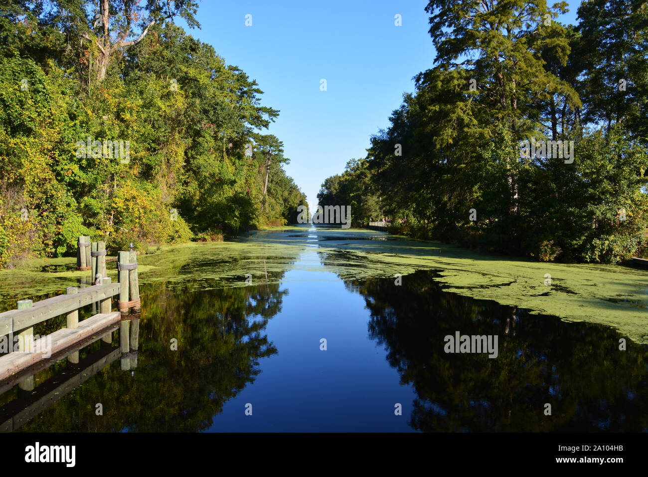 Looking down the Intracoastal Waterway at the Great Dismal Swamp State Park outside of Camden North Carolina. Stock Photo