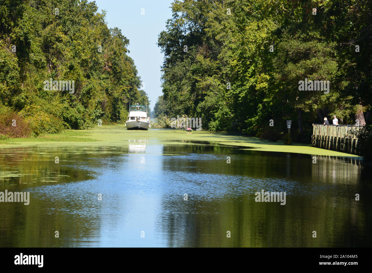 A boat travels south on the Intracoastal Waterway through the Great Dismal Swamp State Park outside of Camden North Carolina. Stock Photo