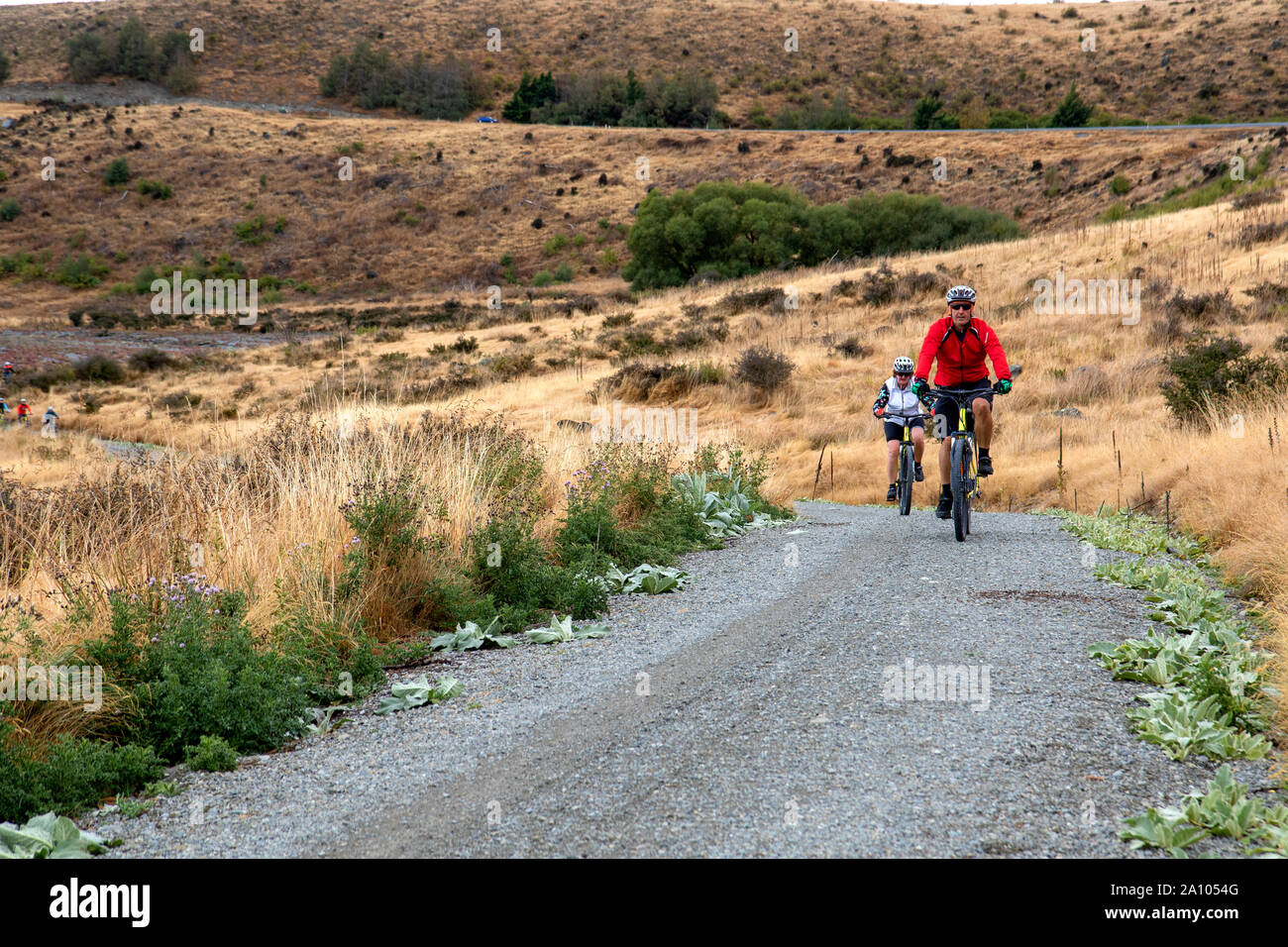 Cyclists on the Alps 2 Ocean trail along the shores of Lake Pukaki Stock Photo