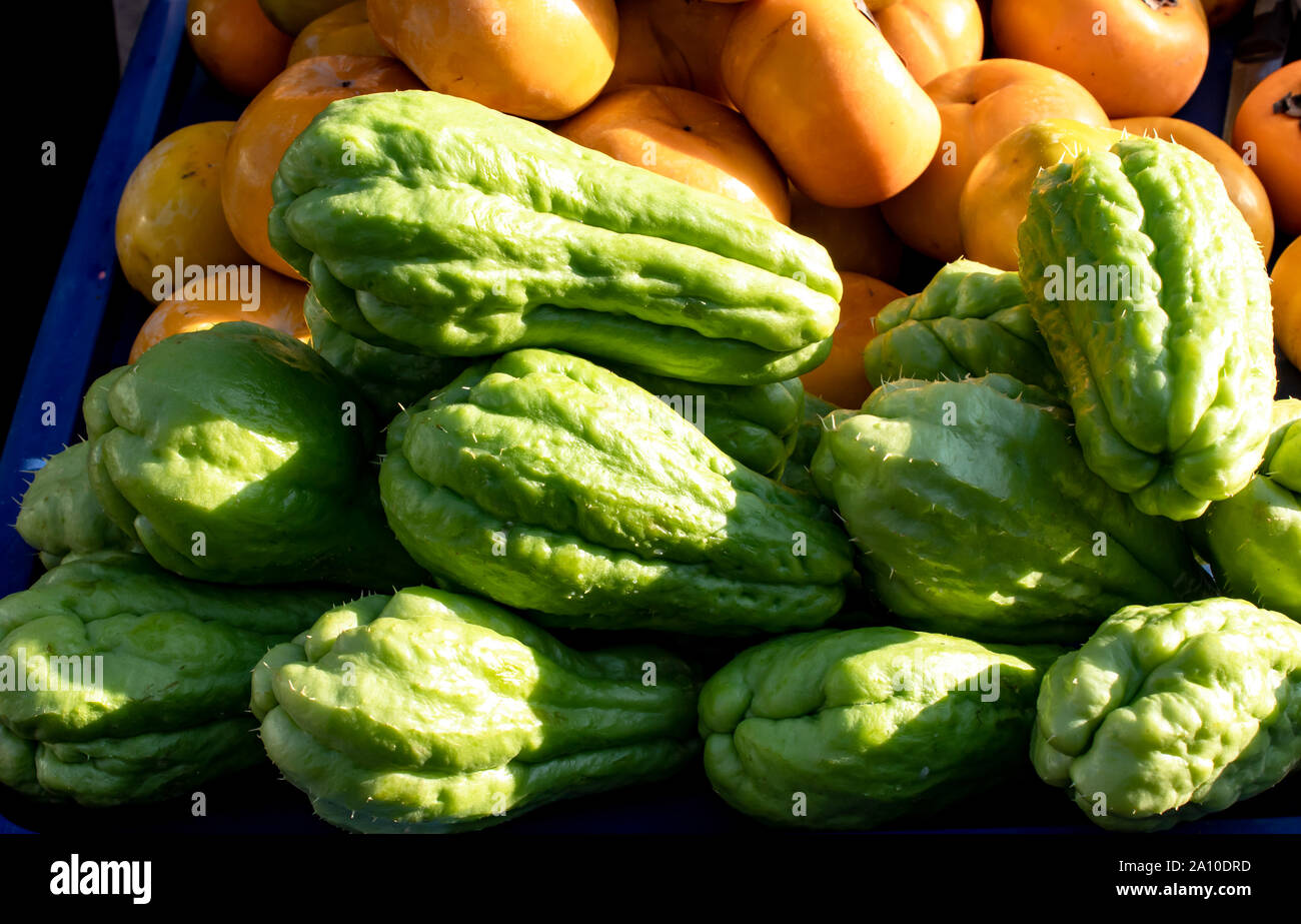 Chayote and Persimmon , Fresh from the garden. Stock Photo