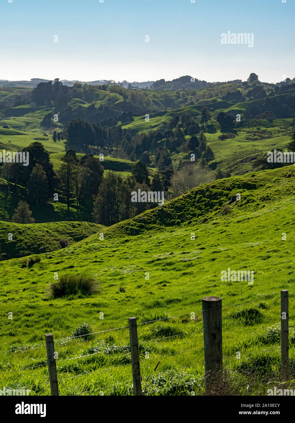 Rugged New Zealand countryside, Waikaretu, Waikato, North Island, New Zealand Stock Photo