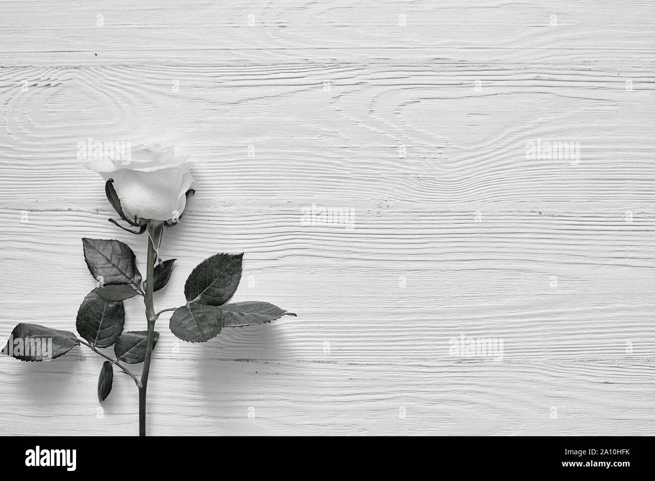 Wedding floral labels hi-res stock photography and images - Alamy