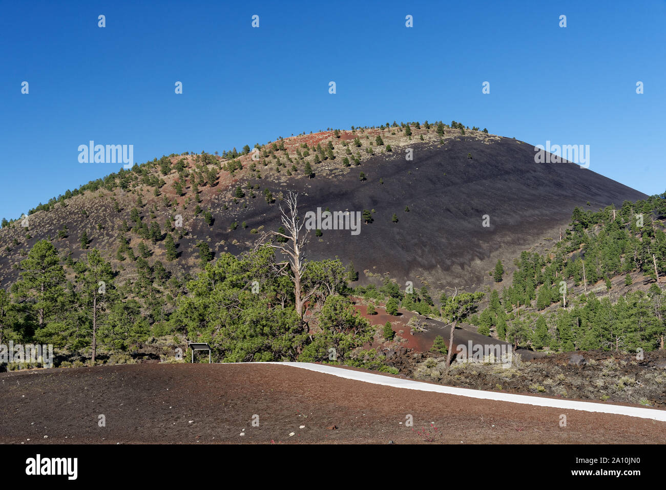Sunset Crater, in Sunset Crater Volcano National Monument, Arizona Stock Photo