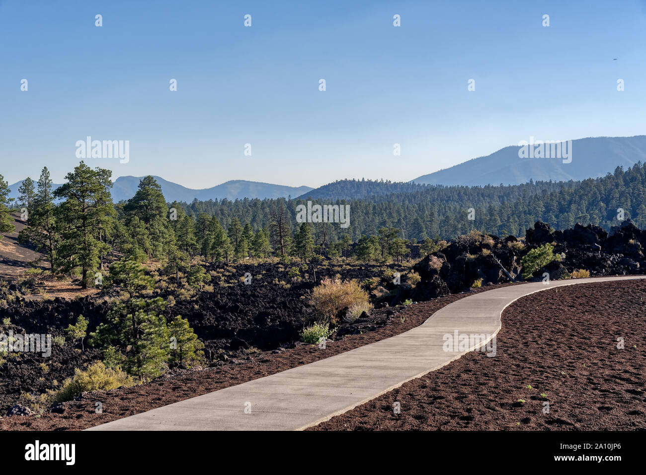 Pathway through Sunset Crater Volcano National Monument, Arizona Stock Photo